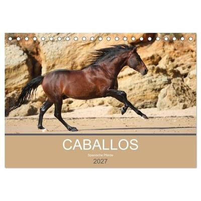 Caballos Spanische Pferde 2027 (Tischkalender 2027 DIN A5 quer), CALVENDO Monatskalender