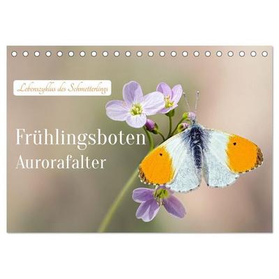 Frühlingsboten Aurorafalter (Tischkalender 2027 DIN A5 quer), CALVENDO Monatskalender