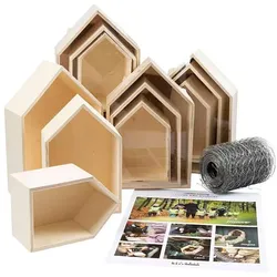 Creativ Company Kreatives Box-Insekten-Klassenzimmer-Set aus Holz