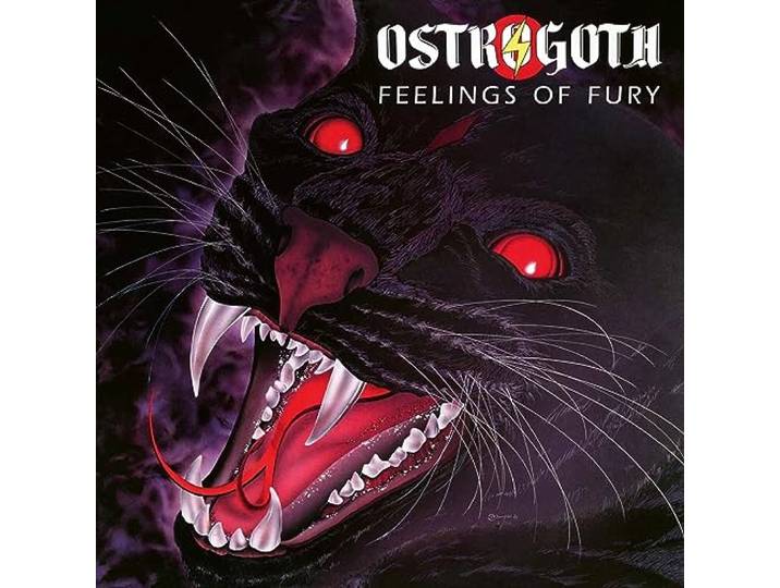 Feelings of Fury