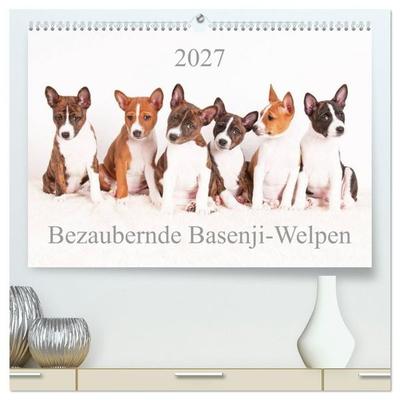 Bezaubernde Basenji-Welpen (hochwertiger Premium Wandkalender 2027 DIN A2 quer), Kunstdruck in Hochglanz