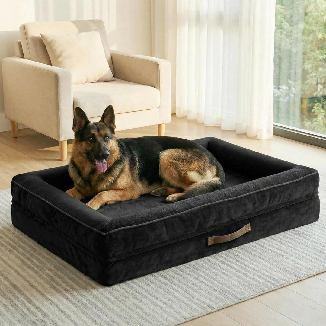 Archie & Oscar Polyester Pet Bed Black Medium (26 - 40 lbs)