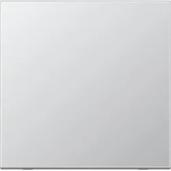 Jung Funk-Wandsender alu lack ENO AL 2990-L ENOAL2990-L