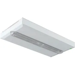 Ceag Notlichtsysteme Rettungszeichenleuchte FT2SE400ATL18