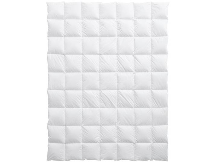 billerbeck Bern 100 Duvet 160 x 210 cm