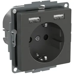 Elso Steckdo USB BRS 16A WDE003179