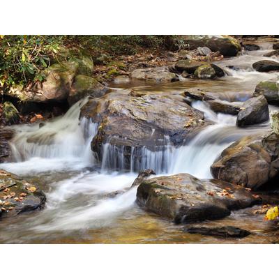 Fototapete PAPERMOON "WASSERFALL-BÄUME FLUSS SEE STEINE BLUME WALD BACH SONNE", bunt, B:3m L:2,23m, Vlies, Tapeten
