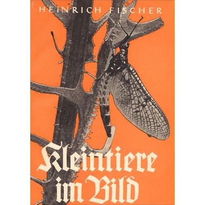 Kleintiere im Bild, Taschenbuch von Heinrich Fischer-Roth, Salzwasser, 978-3-8460-0396-1
