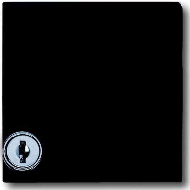 Busch-Jaeger Entretoise anthracite avec couvercle rabattable 2118 GKSL-35 (2CKA001710A1977)