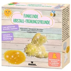 Moses Funkelnder Kristall-Frühlingsfreund, sortiert
