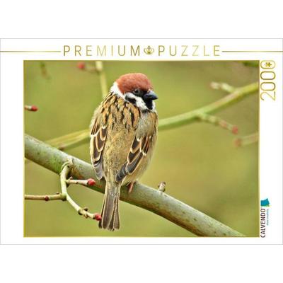CALVENDO Puzzle Feldsperling 2000 Teile Puzzle quer | 2000 Teile Lege-Größe 90 × 67 cm Foto-Puzzle für glückliche Stunden, von , Calvendo Puzzle
