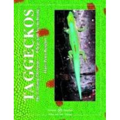 Taggeckos, Gebundene Ausgabe von Hans-Peter Berghof, NTV Natur und Tier-Verlag