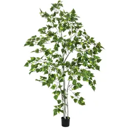 EUROPALMS Birkenbaum, Kunstpflanze, 180cm