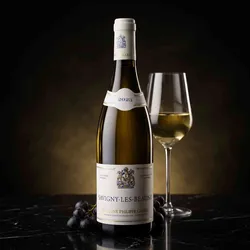 Domaine Philippe Girard Savigny-Les-Beaune Blanc 2023 - Weißwein trocken - Burgund, Frankreich