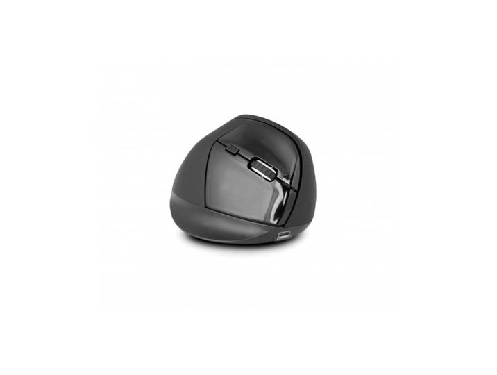 Urban Factory Ergo PRO, Droitier, Conception verticale, Optique, RF sans fil, 2400 DPI, Noir EPR20UF