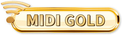STmusic MIDI Accordion Gold