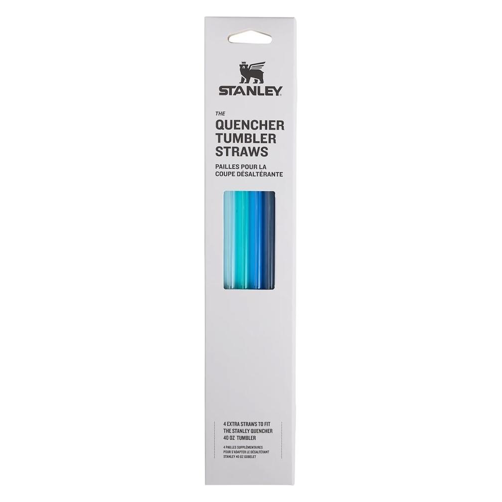 Stanley 1913 Set Ersatzstrohhalm für Quencher (10-10573-048)