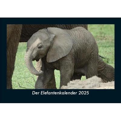 Der Elefantenkalender 2025 Fotokalender DIN A5