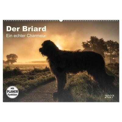 Der Briard 2027 - Ein echter Charmeur (Wandkalender 2027 DIN A2 quer), CALVENDO Monatskalender