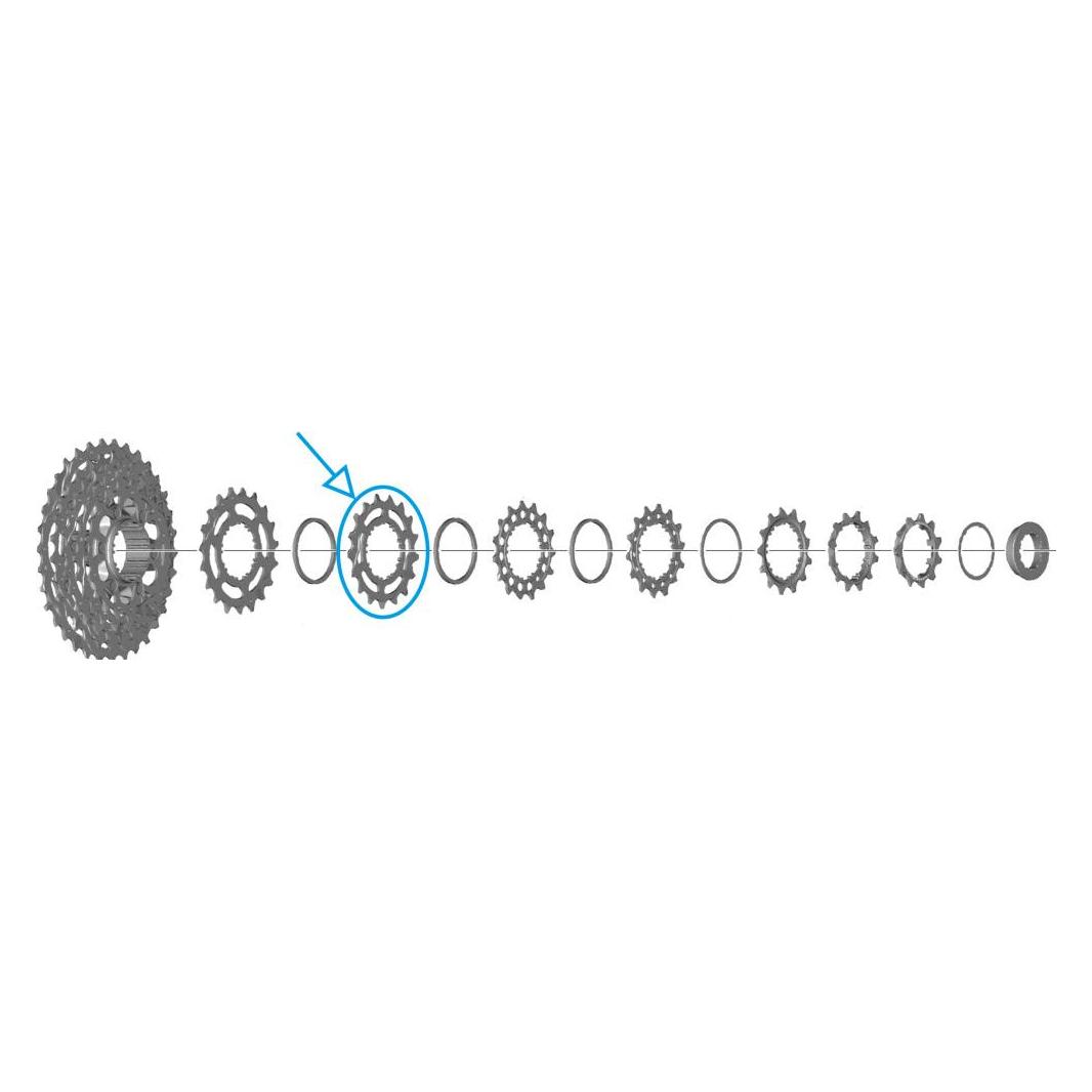 Shimano Zahnkranz CS-R7100 17 Zähne L (17) (33369950)
