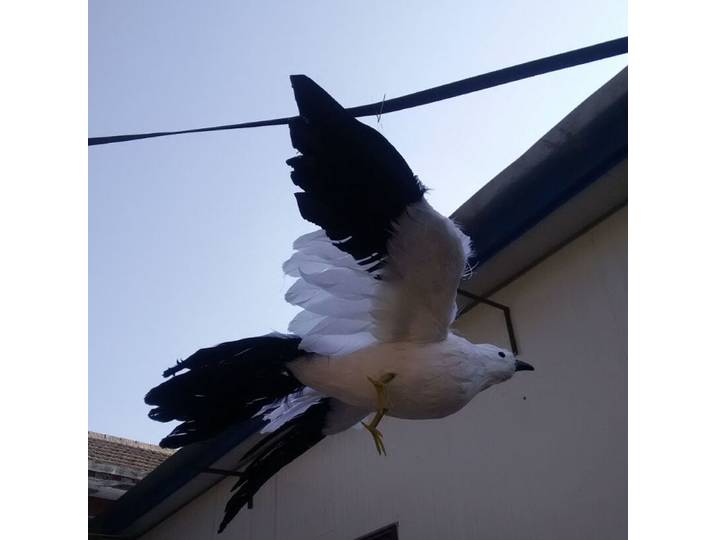 Grand oiseau mouette en mousse et plumes, 38x65cm, ailes écartées, plumes blanches et noires, artisanat, décoration de jardin, cadeau a1795