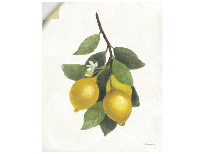 Artland Lemon Branch III Pflanzenbilder 1 Stk. tlg. als Alubild, Leinwandbild, Poster, Wandaufkleber in verschied. Grössen