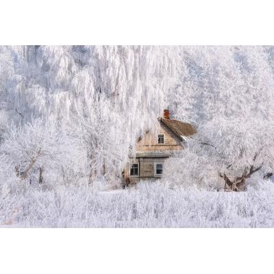 Fototapete PAPERMOON "Haus in Schneelandschaft", bunt, B:4,5m L:2,8m, Vlies, Tapeten