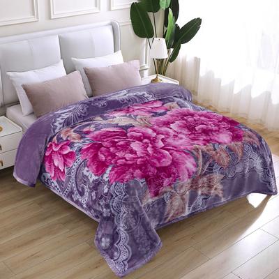JML Raschel A&B Printed 2-ply Reversible Korean-style Plush Fleece Blanket