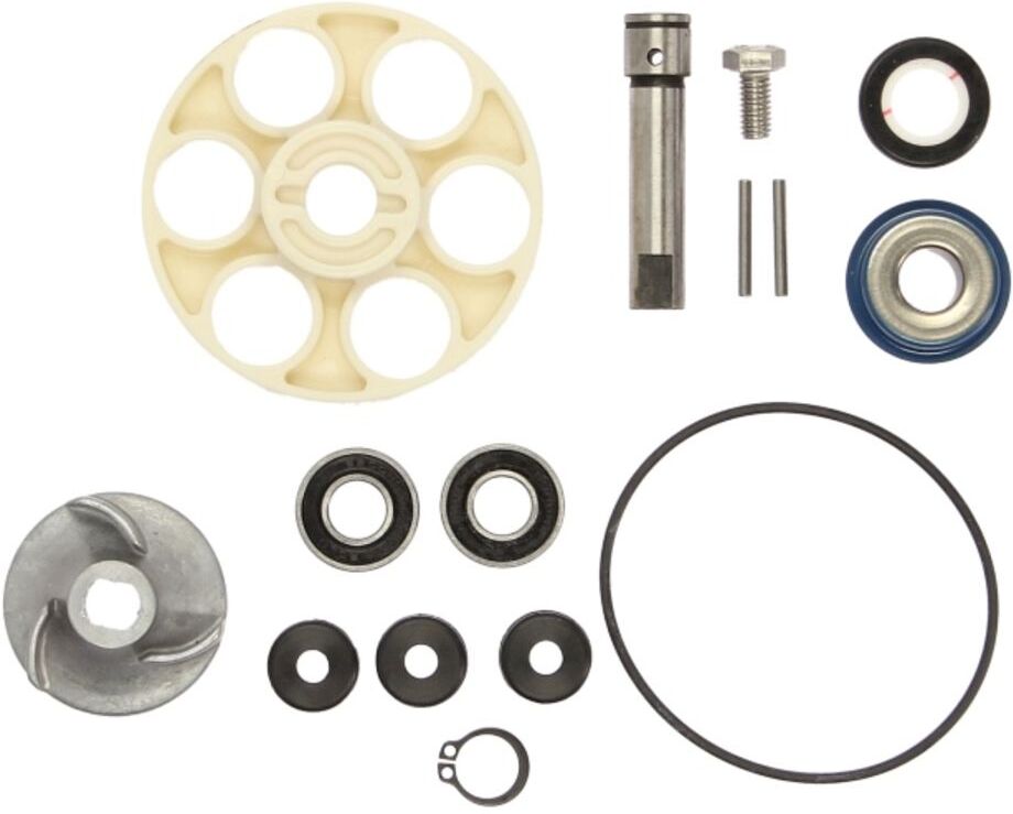 Reparatursatz, Wasserpumpe RMS 10 011 0160