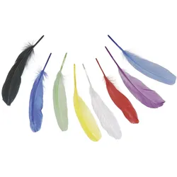 5x Knorr, Naturmaterialien, Gänsefedern 20cm bunt sortiert