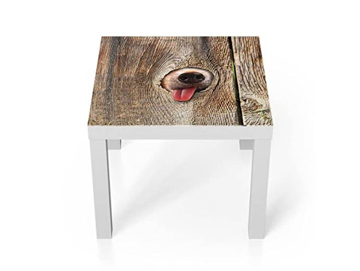 DEQORI Glastisch weiß klein 55x55 cm Motiv Neugierige Hundeschnauze ausgefallener Beistelltisch aus Glas Hochglanz Couchtisch fürs Wohnzimmer moderner Couch Tisch mit Design