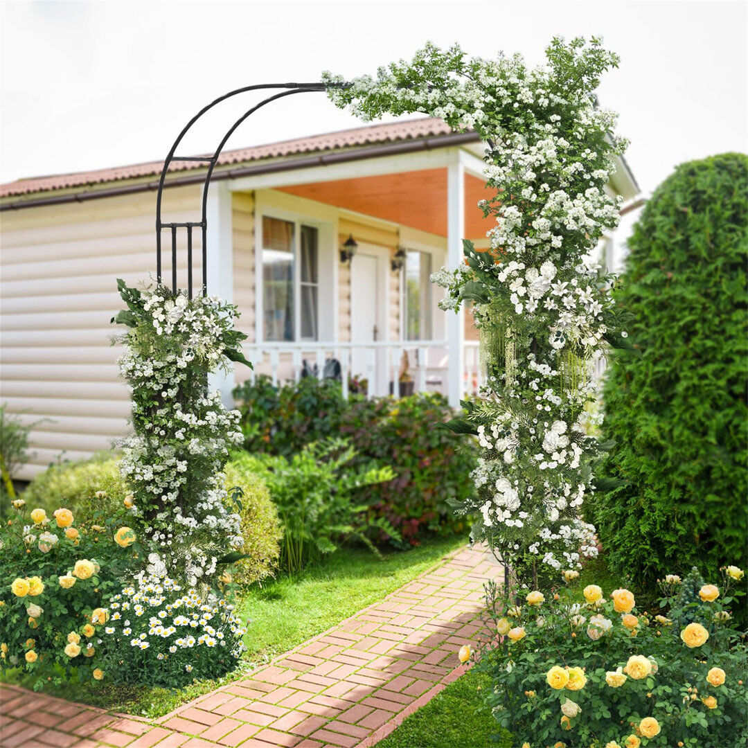 Fcbnposi 158cm W x 42cm D Metal Arbour in Black Black 245cm H X 158cm W X 42cm D