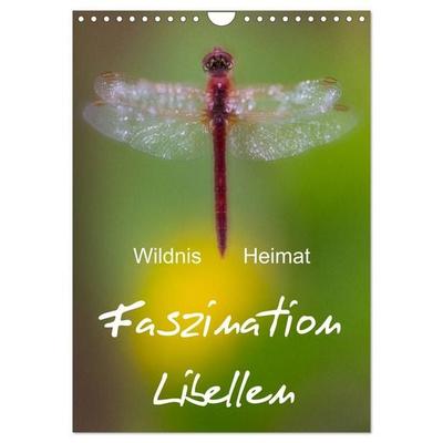 Faszination Libellen - Wildnis Heimat (Wandkalender 2027 DIN A4 hoch), CALVENDO Monatskalender