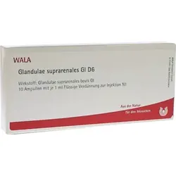 Glandulae suprarenales GL D6 10X1 ml Ampullen