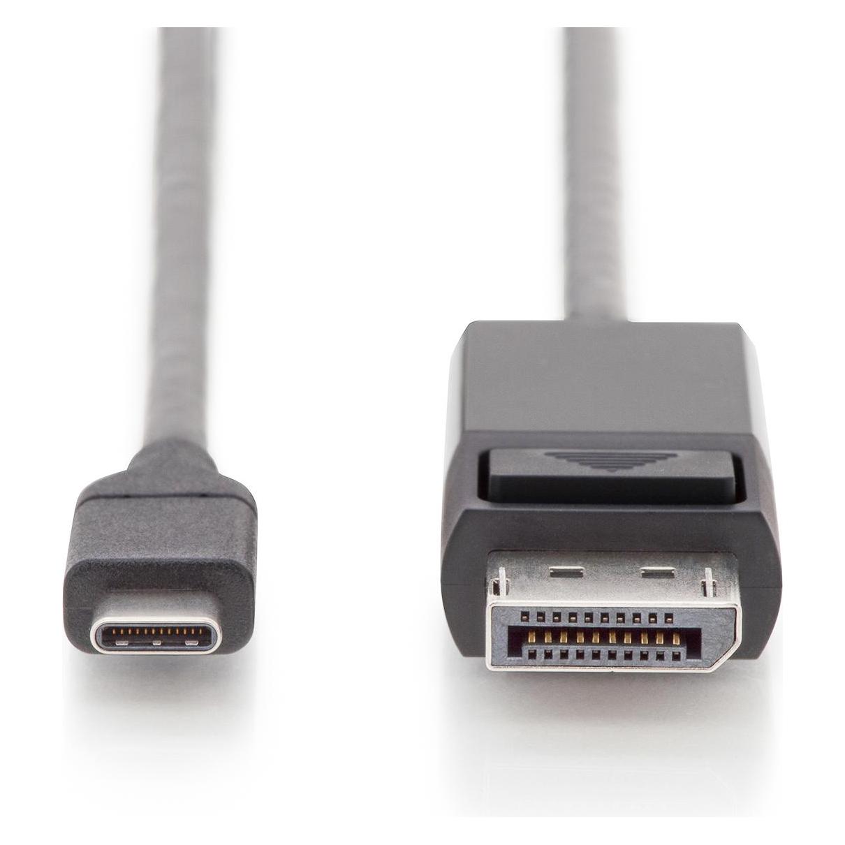 Digitus USB Typ C - DisplayPort (2 m) (AK-300333-020-S)