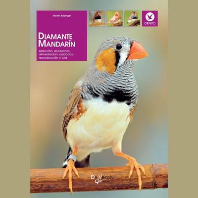 Diamante mandarín - Michel Bolzinger, Audio, 9798894057842