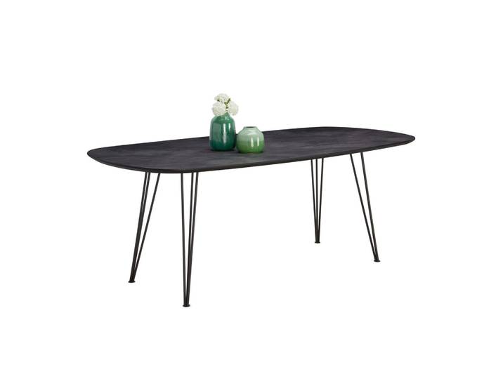 Dieter Knoll Esstisch, Schwarz, Dunkelgrau, Metall, Kunststoff, oval, Rundrohr, 100x76x200 cm, Esszimmer, Tische, Esstische, Esstische oval
