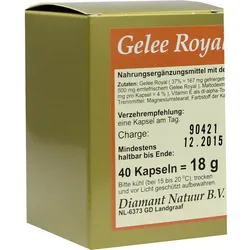 Gelee Royal 1x1 pro Tag 40 ST