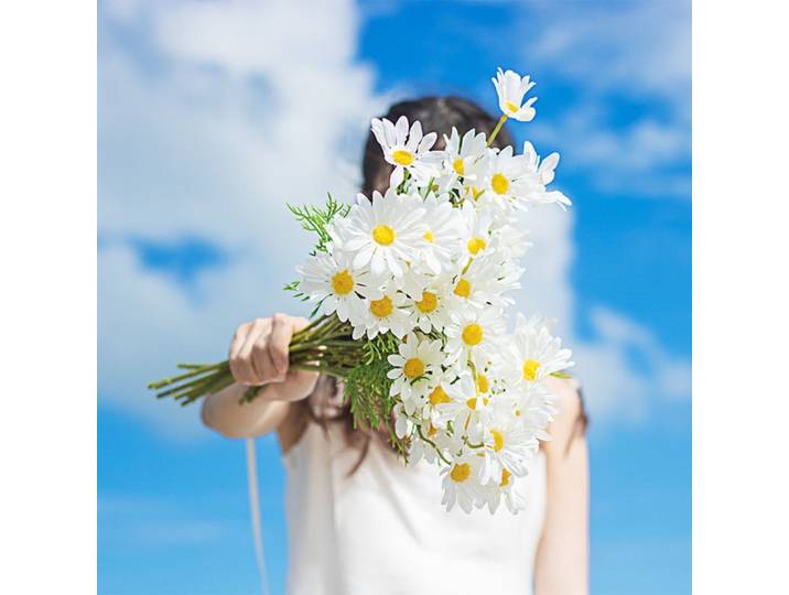 Petites marguerites fausses fleurs, vraies fleurs, décoration haut de gamme, bouquet de salon, fleurs en plastique, accessoires photo réelle