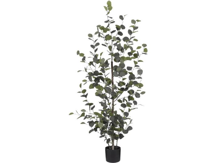 Mica Decorations Eucalyptus Kunstplant H150 x Ø30 cm - Kunstplant in Pot - Onderhoudsvrije Kamerplant voor Binnen - Natuurlijke Uitstraling - Inclusief Zwarte Bloempot - Groen
