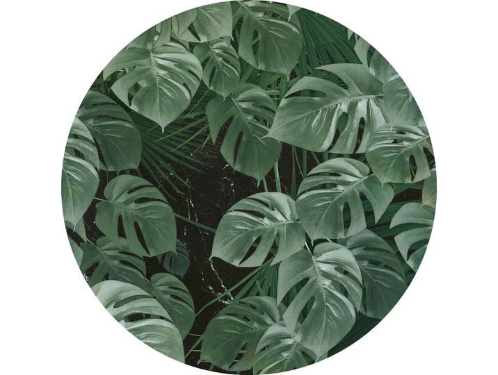 FOTOTAPETE NOVEL MONSTERA