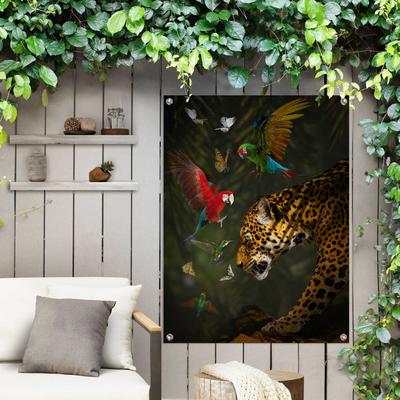 Poster REINDERS "Dschungeltiere", bunt (farbe bild(er): bunt), B:60cm H:80cm T:0,1cm, Leinwand, Bilder, Poster, Outdoor für Garten oder Balkon