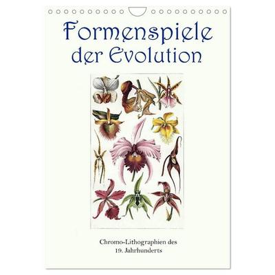 Formenspiele der Evolution. Chromolithographien des 19. Jahrhunderts (Wandkalender 2027 DIN A4 hoch), CALVENDO Monatskalender