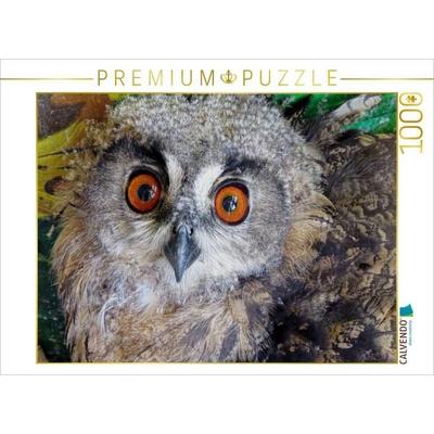 CALVENDO Puzzle Junguhu - Tierarztpraxis Weidenhausen | 1000 Teile Lege-Größe 64x48cm Foto-Puzzle für glückliche Stunden, Sonstige von , Calvendo