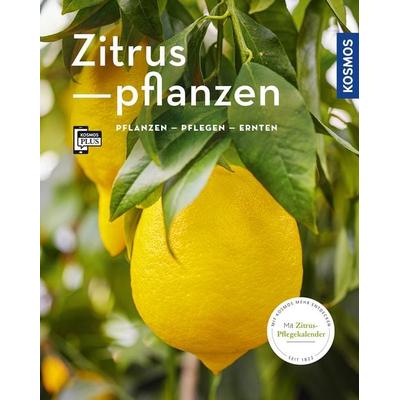 Zitruspflanzen (Mein Garten), Taschenbuch von Dominik Grosse Holtforth, Kosmos, 978-3-440-16729-8