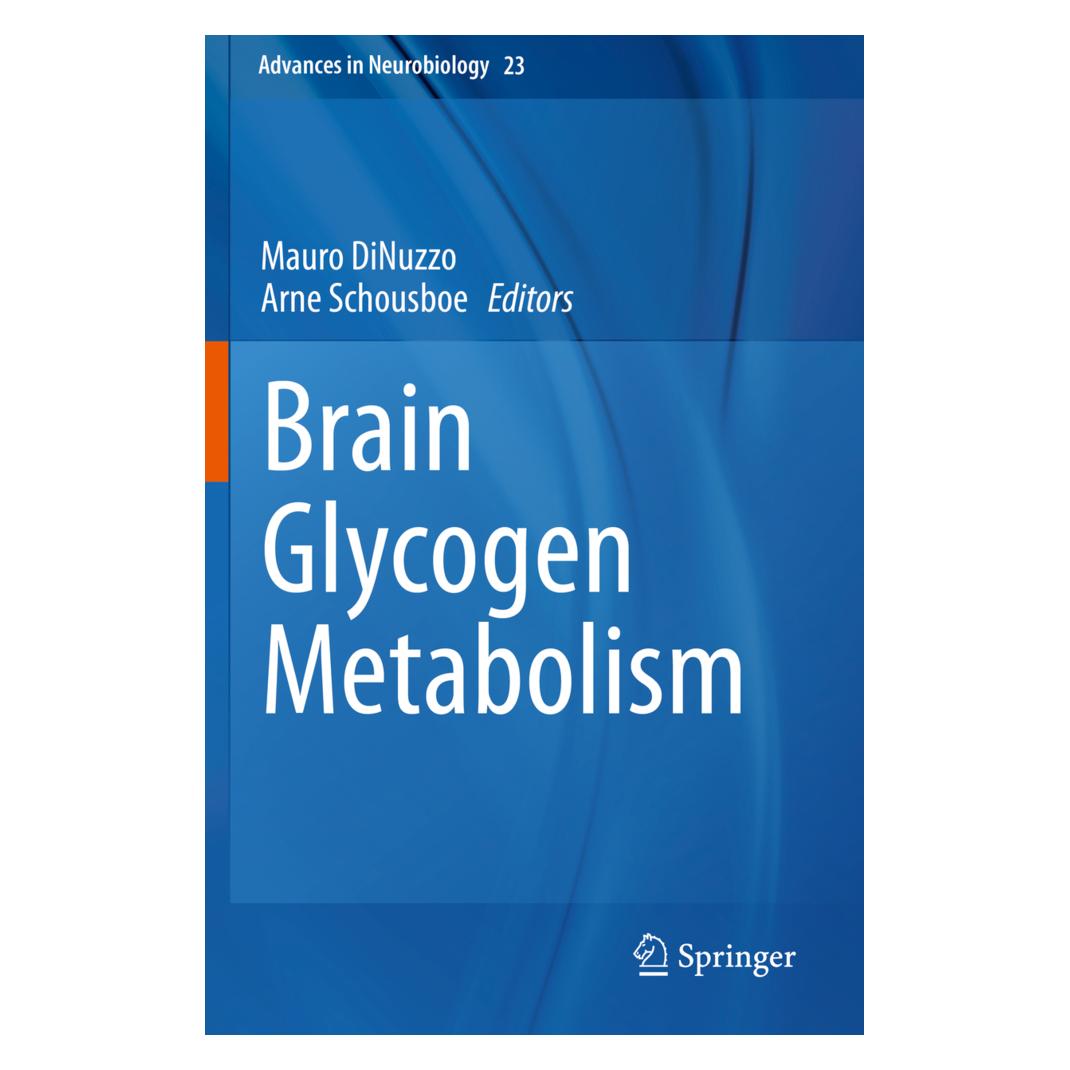 Springer Brain Glycogen Metabolism (Englisch, Softcover, Arne Schousboe, Mauro DiNuzzo) (56164390)