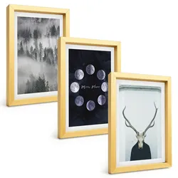 BILDER SET 3er Set - 20x30 cm Goldrahmen - Waldlandschaft, Nebel, Mond, Hirschschädel