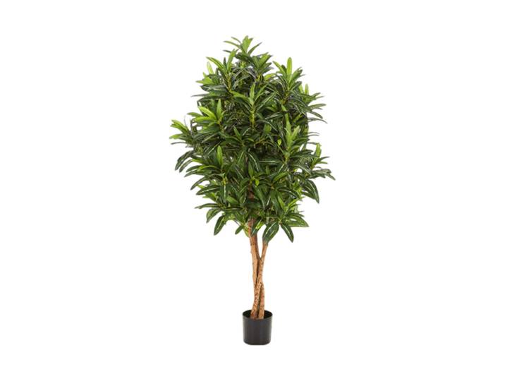 Lebensechte Kunstpflanze „Croton Goldfinger“, verschiedene Grössen Grün Baq Design