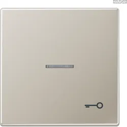 Jung ES2990KO5T Wippe Tür Lichtleiter LS Edelstahl
