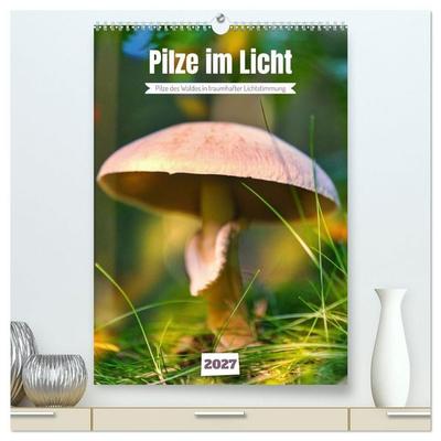 Pilze im Licht (hochwertiger Premium Wandkalender 2027 DIN A2 hoch), Kunstdruck in Hochglanz